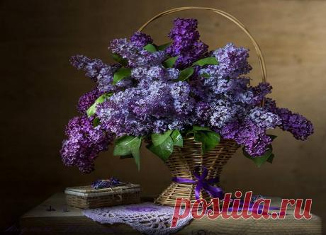 Натюморты Людмилы Костюченко