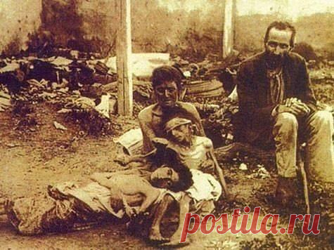 У 1931 РОЦІ БУЛО 81 МІЛЬЙОН УКРАЇНЦІВ | Сурма