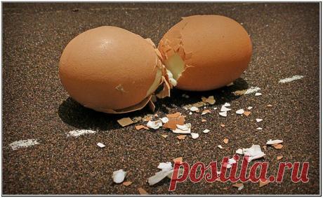 Московское ГИБДД подготовило памятку о том, как оформлять ДТП без участия инспектора.