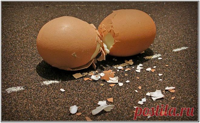 Московское ГИБДД подготовило памятку о том, как оформлять ДТП без участия инспектора.