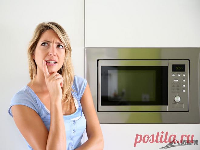 На что способна обычная микроволновка? &raquo; Женский Мир