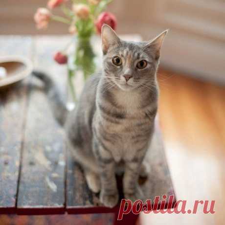 Берегите природу