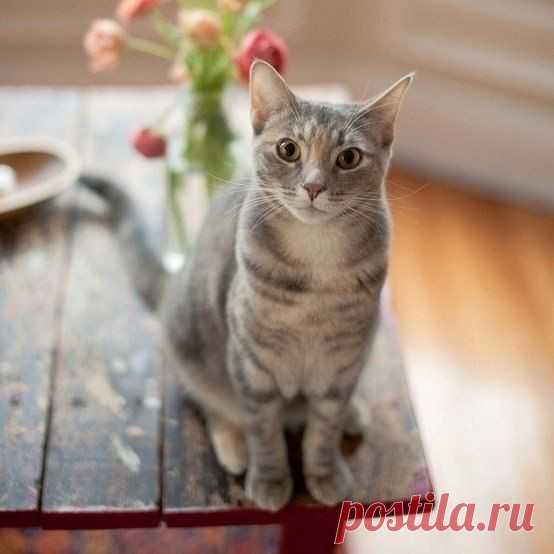 Берегите природу