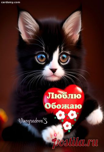 Котики с сердечком - Кошки - Картинки