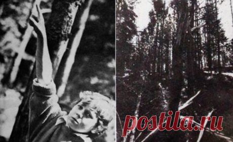 Волосатый монстр в белорусском пионерлагере в 1989 году 1989 год, место действия пионерлагерь «Фестивальный» близ города Ракова (Беларусь). Руслан Луцкин. Место происшествия. Фото: Олег Попов 6 июля перед обедом вожатая отряда № 7 Наталья Малашкина повела ...