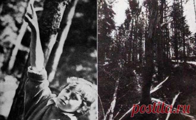 Волосатый монстр в белорусском пионерлагере в 1989 году 1989 год, место действия пионерлагерь «Фестивальный» близ города Ракова (Беларусь). Руслан Луцкин. Место происшествия. Фото: Олег Попов 6 июля перед обедом вожатая отряда № 7 Наталья Малашкина повела ...