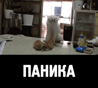Просто друг - на Мой Мир@Mail.ru