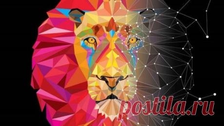 Sirio – Un camino hacia la luz