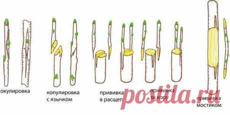 Мой Мир@Mail.Ru