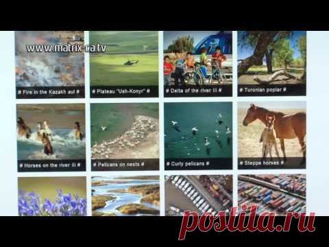 Где хранить фотографии. Обзор фотохостингов (195)