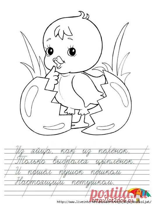 Раскраски-прописи-обводилки.