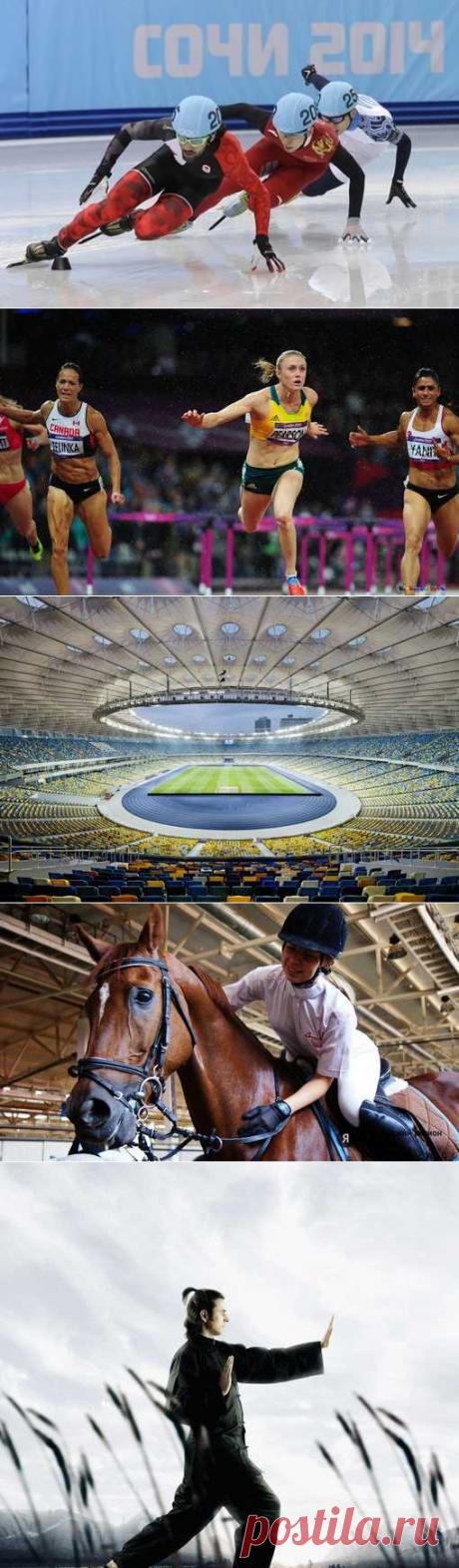 Рукопашный бой, Айсшток, Ездовой спорт, Мини-футбол. (1/1) - Спортивный форум. - Спортивный сайт