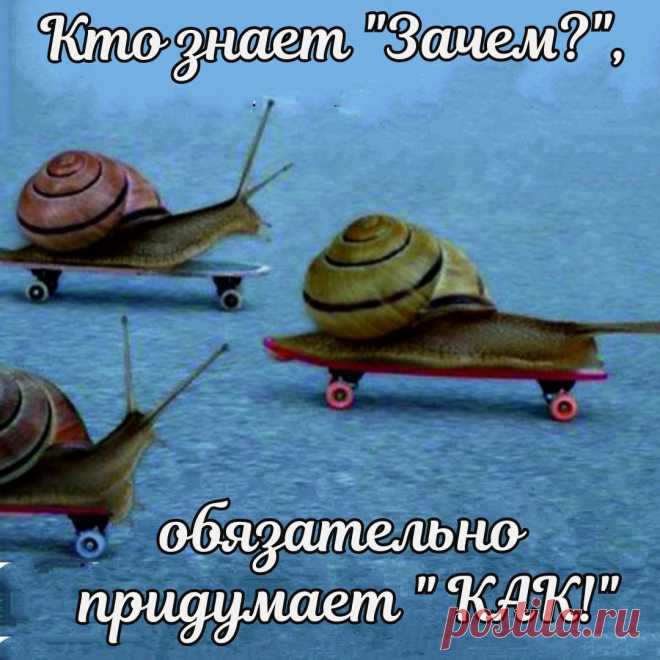 В любой ситуации спрашивай себя: 
❓Чему я могу сейчас научиться? 
❓Какую пользу извлечь из этого опыта? 
❓Как эта ситуация может помочь на пути к моим целям? 

#движение #этожизнь #цели #мотивация #вдохновение #жизненныйопыт #достижениецели #цель #цельжизни