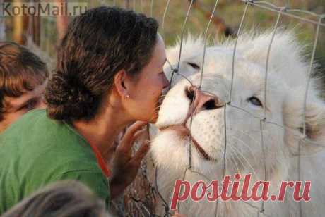 Застенчивая) | KotoMail.ru