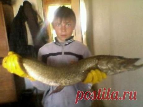 Николай Сандер Ольга Курпелянская
36 лет, Казахстан, Костанай