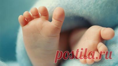 В РИА Новости назвали самые популярные имена для детей в Москве. В Москве в 2025 году самым популярным для новорождённых девочек стало имя Анна, среди мужских имён третий год лидирует Михаил. Читать далее