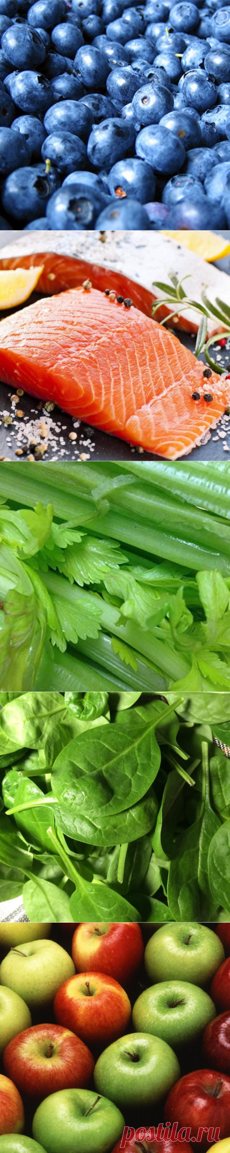 Продукты, способные улучшить память / Все для женщины