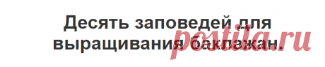 Десять заповедей для выращивания баклажан. | Golbis