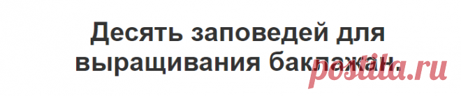 Десять заповедей для выращивания баклажан. | Golbis