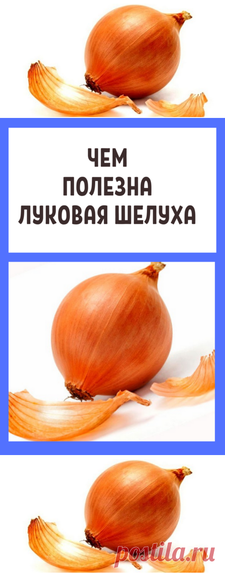 Чем полезна луковая шелуха
