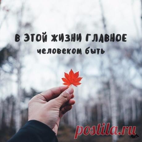 Интересные новости