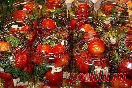 5 простых рецептов маринованных помидоров