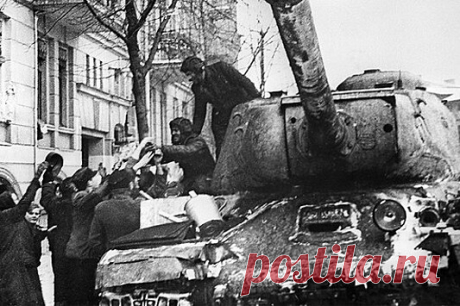 Сами немцы убили поляков в Катыни