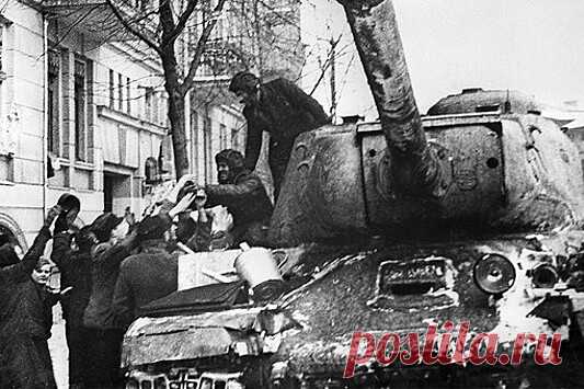 Сами немцы убили поляков в Катыни