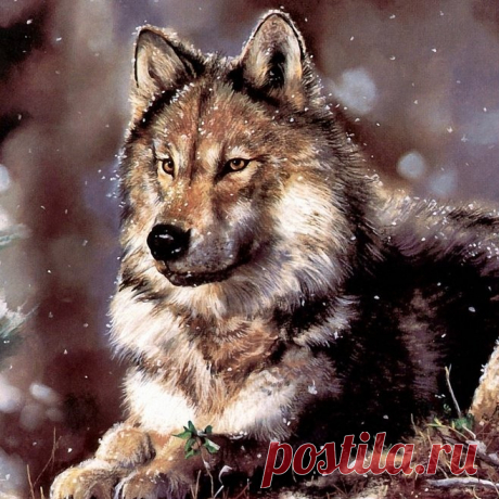 Красивая притча о дружбе - Стая волков и три охотника.
В волчьей стае Старый Вожак решил назначить себе преемника. Он подошел к самому смелому и сильному Волку и сказал:
— Я старею, поэтому назначаю тебя Новым Вожаком стаи. Но ты должен доказать, что достоин. Поэтому возьми лучших Волков, сходи на охоту и добудь еды на всю стаю....