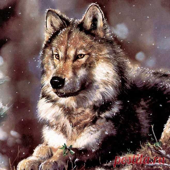 Красивая притча о дружбе - Стая волков и три охотника.
В волчьей стае Старый Вожак решил назначить себе преемника. Он подошел к самому смелому и сильному Волку и сказал:
— Я старею, поэтому назначаю тебя Новым Вожаком стаи. Но ты должен доказать, что достоин. Поэтому возьми лучших Волков, сходи на охоту и добудь еды на всю стаю....