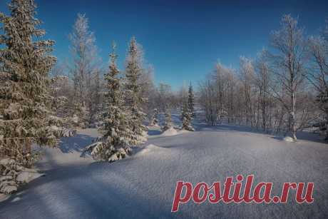 ФОТОМАСТЕРСКАЯ ПРИРОДЫ
Олег Кулябин