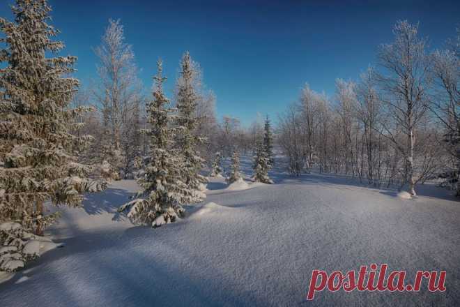 ФОТОМАСТЕРСКАЯ ПРИРОДЫ
Олег Кулябин