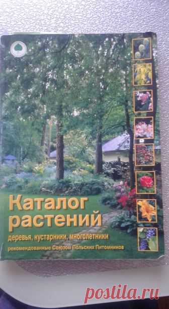 Друзья,хочу показать вам вот такой каталог.Издание Варшава 2005 год.Собрано большое количество растений,что очень удобно.Есть карта зон морозоустойчивости.Про каждое растение подробное описание,расположение относительно солнца и размер, не только в м. ,но и силуэт растения и человека в пропорциональном соотношении.Издание не новое,но актуальности не потеряло.Думаю, при желании,можно и сейчас найти и приобрести.