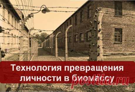 Превращение личности в биомассу