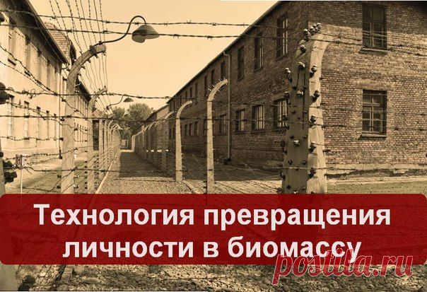 Превращение личности в биомассу
