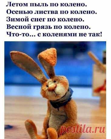 Выпуск №6418 - выпуск анекдотов сайта вокруг смеха
