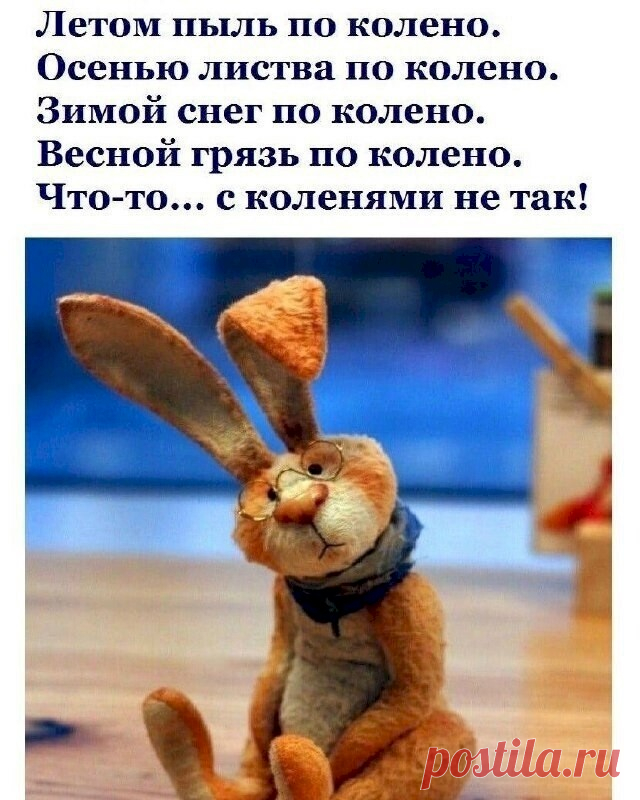 Выпуск №6418 - выпуск анекдотов сайта вокруг смеха