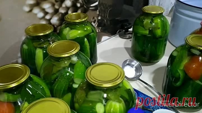 ЗАСОЛКА ОГУРЦОВ, ЛЮБИМЫЙ РЕЦЕПТ
