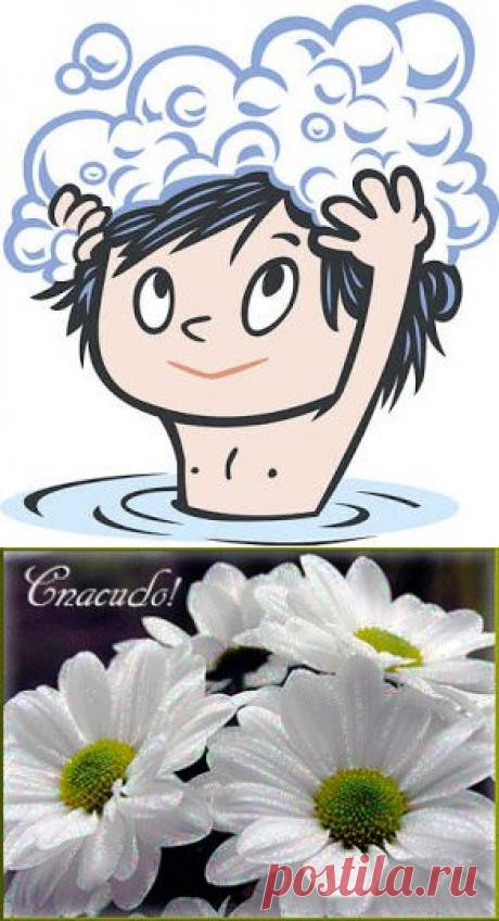 Как обычный шампунь сделать волшебным!..