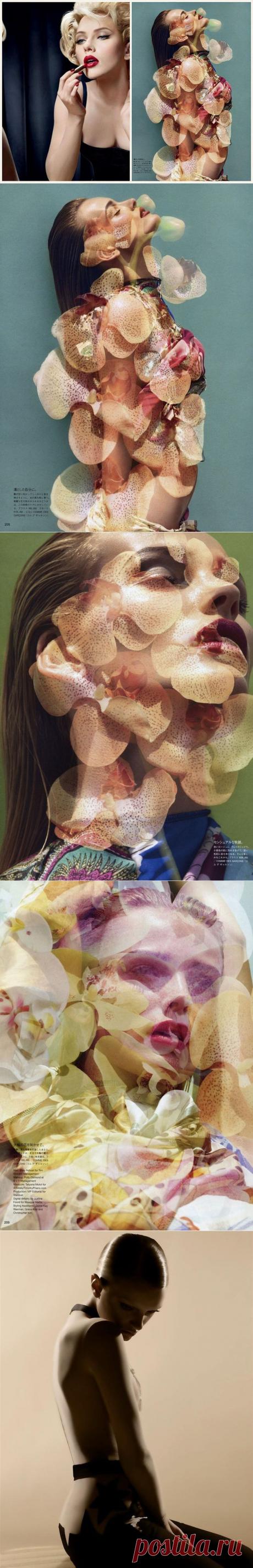 Фотография Сольве Сундсбо