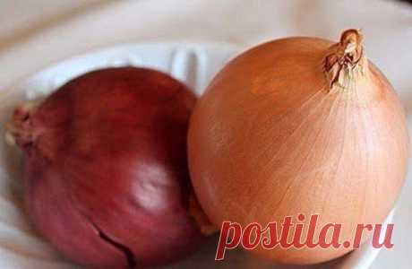 КАК ПРАВИЛЬНО ХРАНИТЬ ПРОДУКТЫ