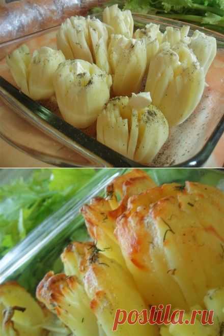 Картофель Дофинэ