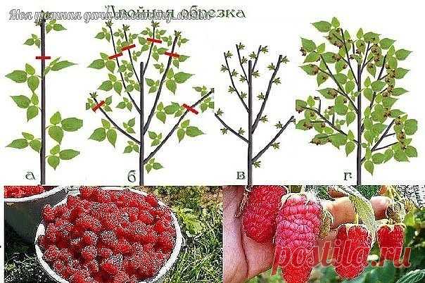 (48) Одноклассники