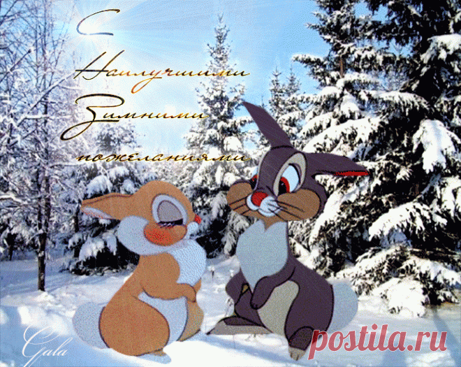 133057816_5866111_20649118.gif (695×553)