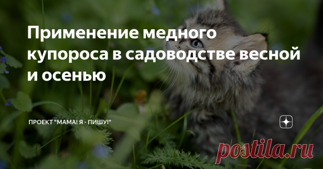 Применение медного купороса в садоводстве весной и осенью