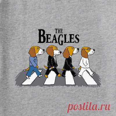 Men's Music – Explore Our Collection | Life is Good: Shop the Official Website