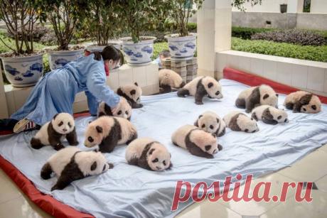 РЕСПУБЛИКА. Еженедельник Крыма