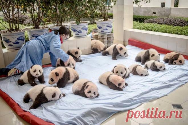 РЕСПУБЛИКА. Еженедельник Крыма