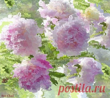 Dr Chernykh A.D.
Черных Александр Дмитриевич
Сан Чад, San Chad 
Доктор наук, автор 14 книг, 13 патентов и более 100 научных публикаций. Участник Всемир-ного (1989, Пекин) и Междуна-родных Конгрессов.