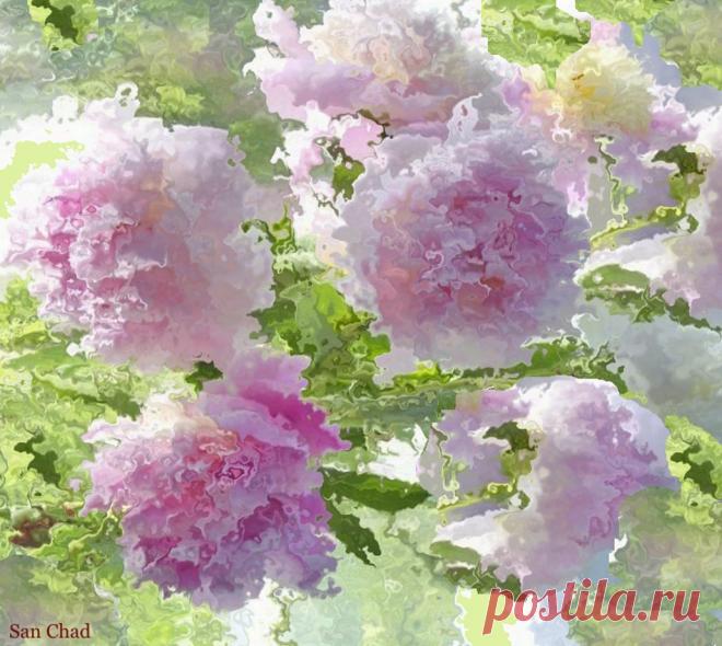 Dr Chernykh A.D.
Черных Александр Дмитриевич
Сан Чад, San Chad 
Доктор наук, автор 14 книг, 13 патентов и более 100 научных публикаций. Участник Всемир-ного (1989, Пекин) и Междуна-родных Конгрессов.